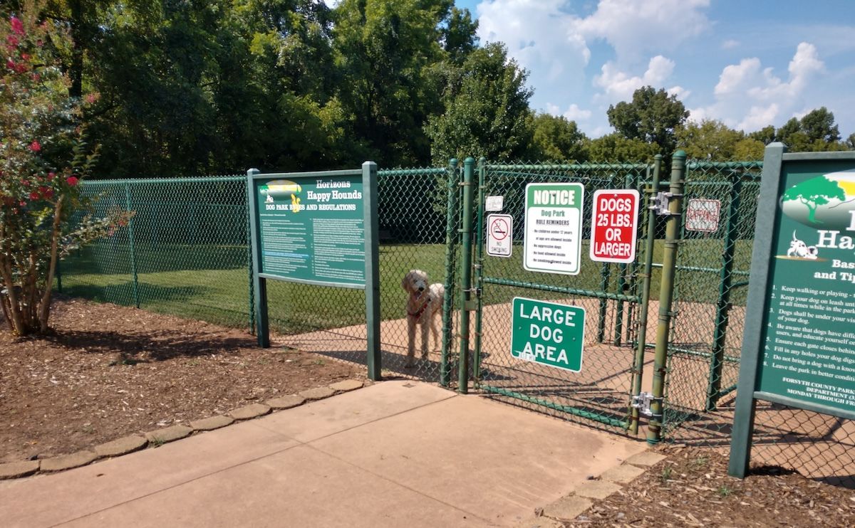 dog happy at dog park in winston salem jpg